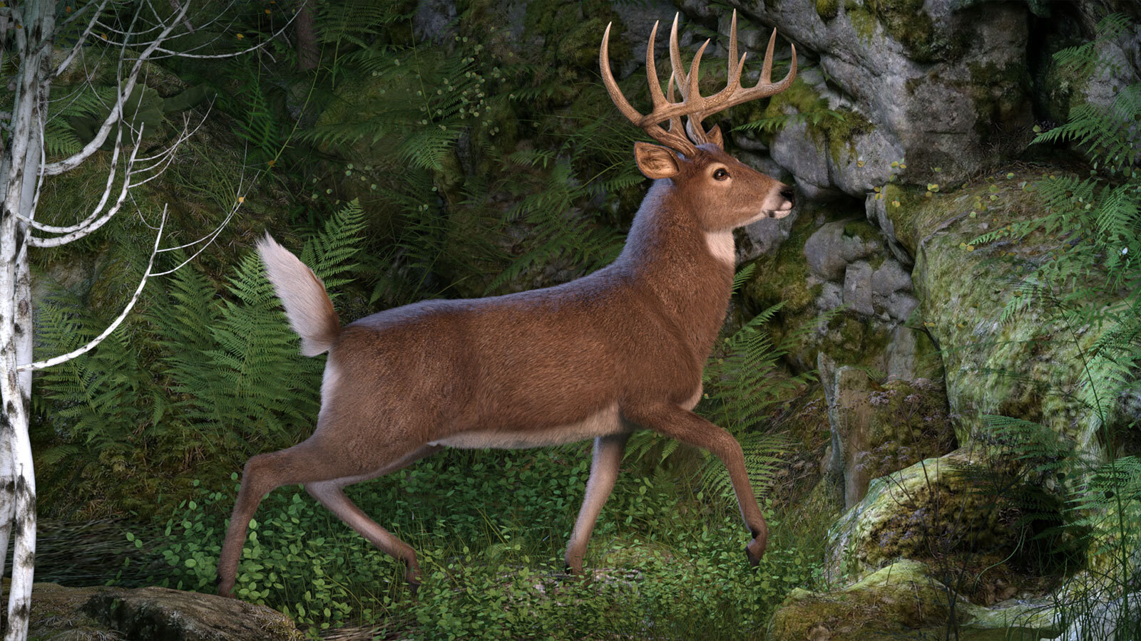 CWRW LAMH: Red Stag and Whitetail Deer Presets by N/A