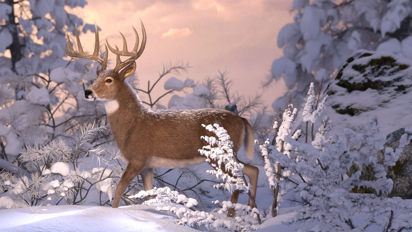 CWRW LAMH: Red Stag and Whitetail Deer Presets by N/A