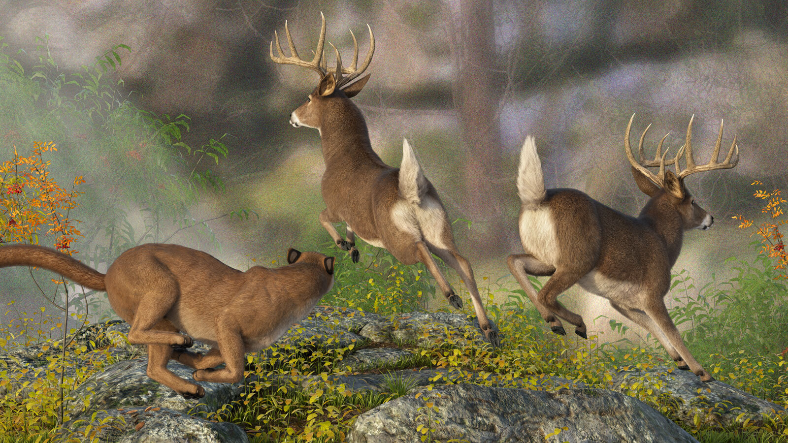 CWRW LAMH: Red Stag and Whitetail Deer Presets by N/A
