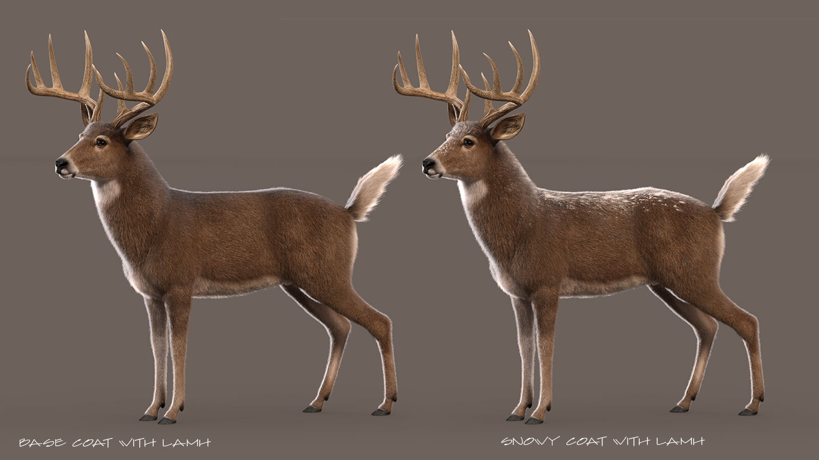 CWRW LAMH: Red Stag and Whitetail Deer Presets by N/A