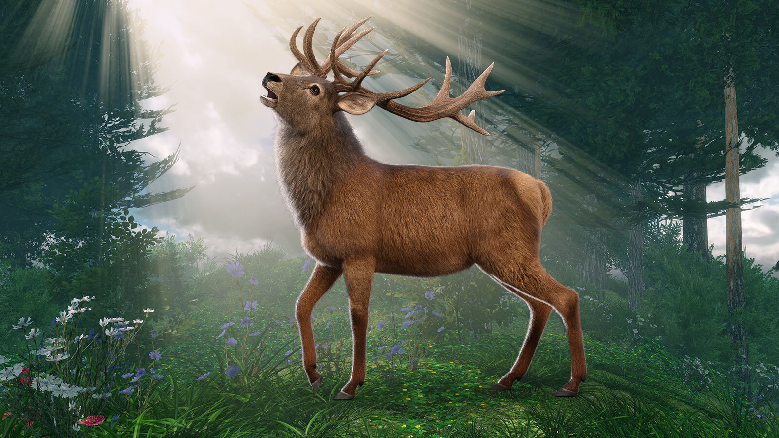 CWRW LAMH: Red Stag and Whitetail Deer Presets by N/A