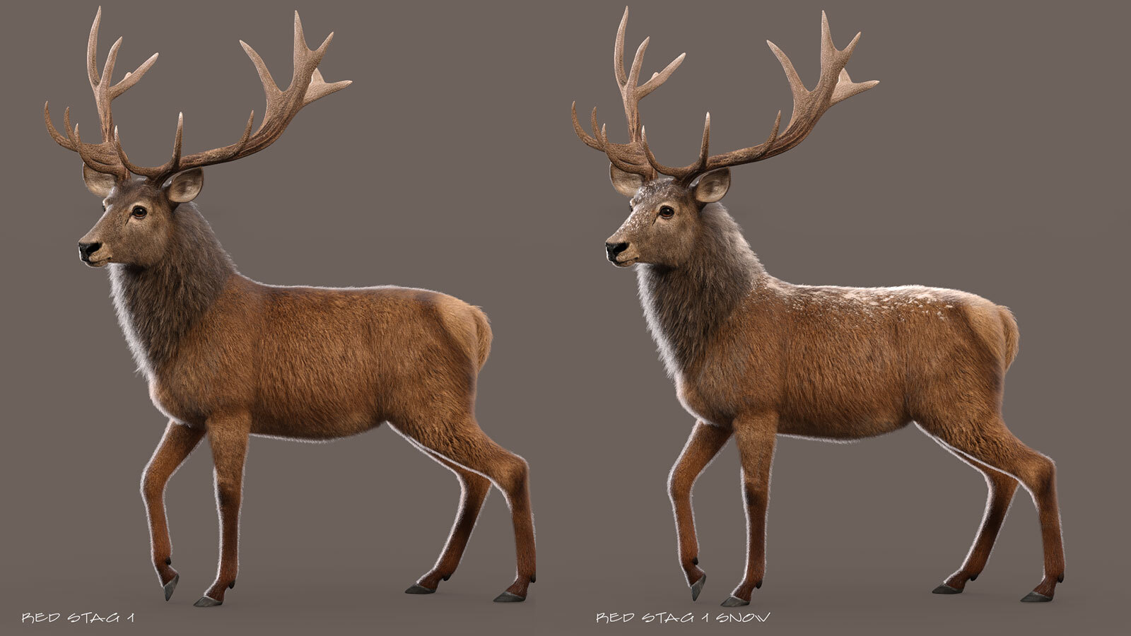 CWRW LAMH: Red Stag and Whitetail Deer Presets by N/A