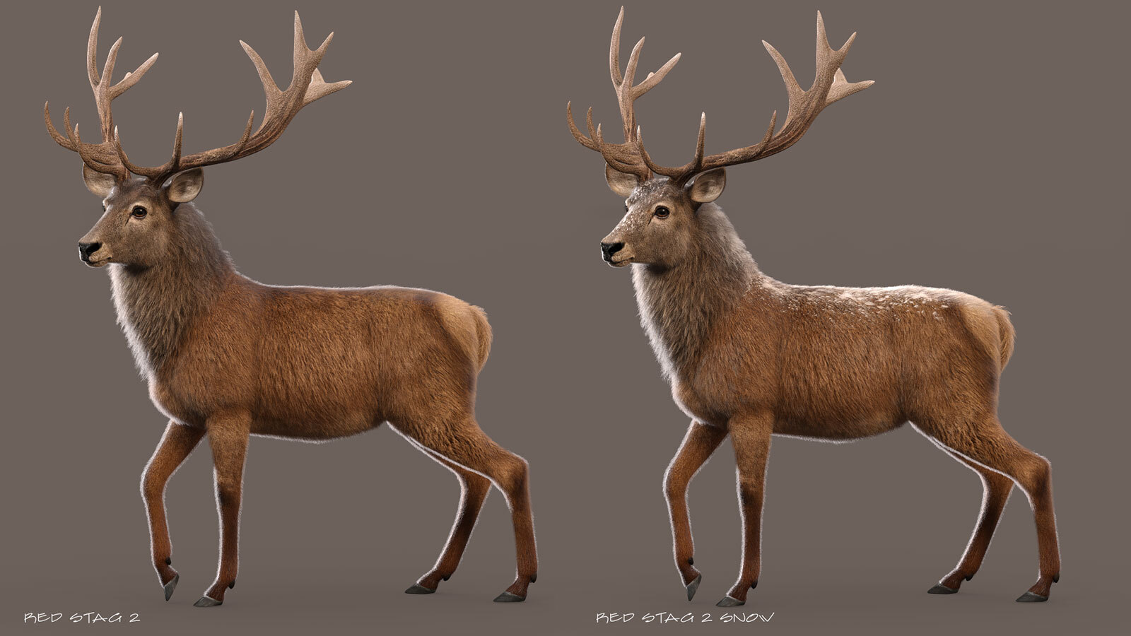 CWRW LAMH: Red Stag and Whitetail Deer Presets by N/A
