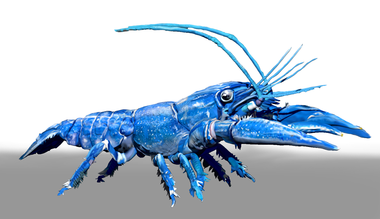 Blue Crawfish ZBrush ZTL Sculpt and Polypaint by N/A