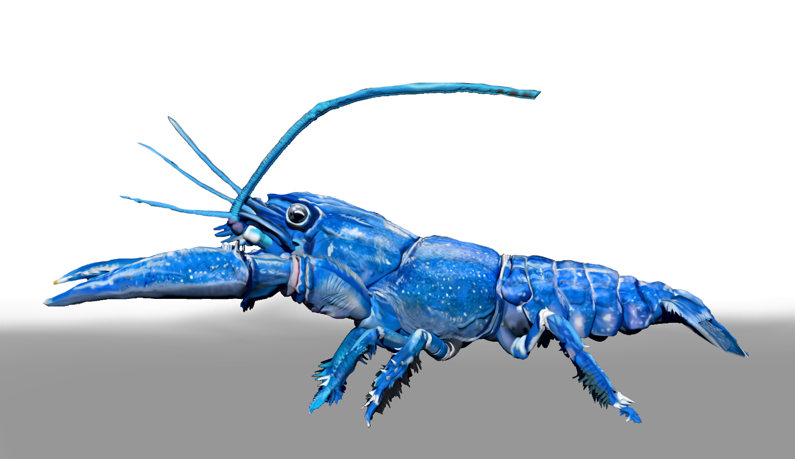 Blue Crawfish ZBrush ZTL Sculpt and Polypaint by N/A