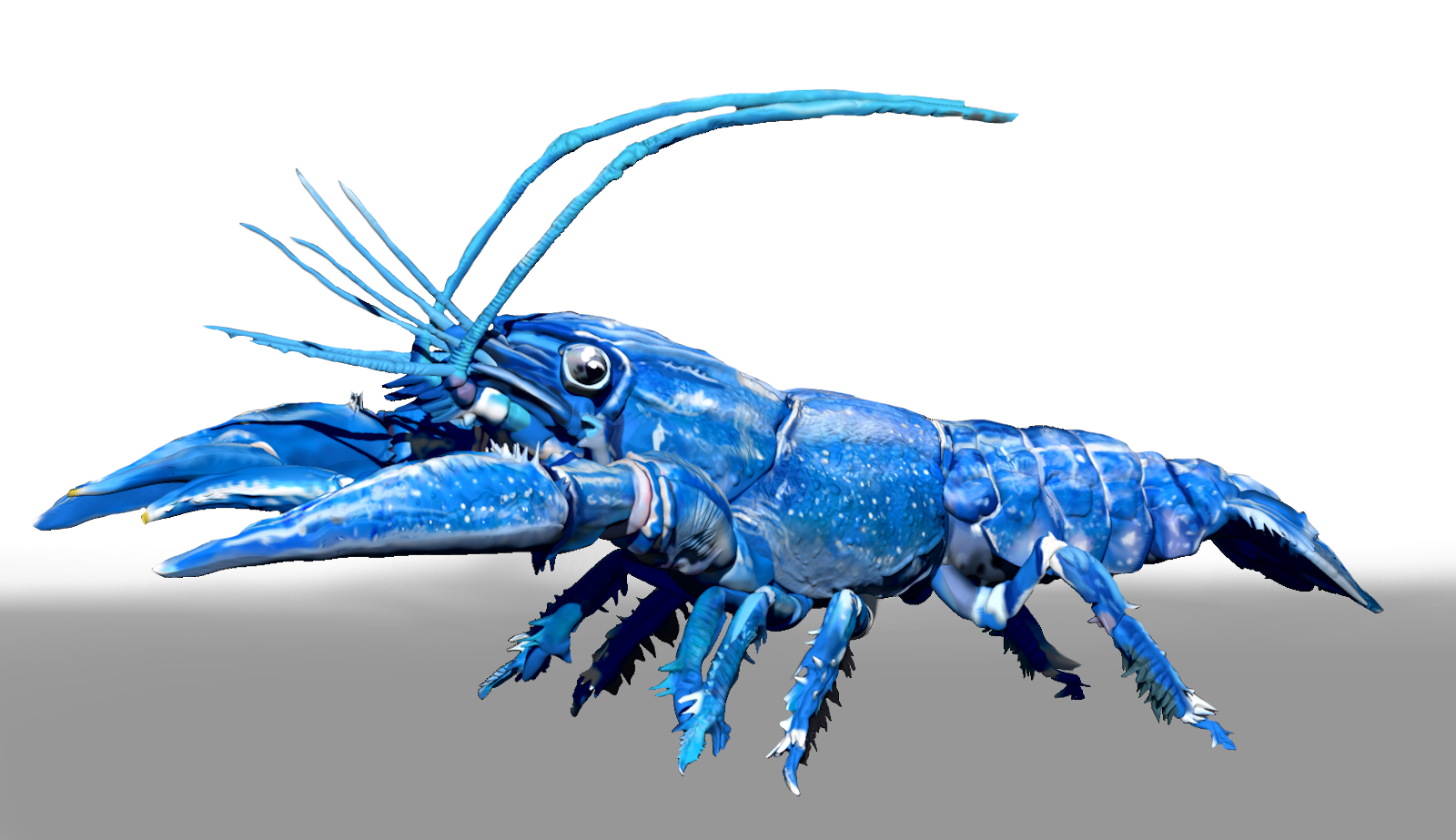 Blue Crawfish ZBrush ZTL Sculpt and Polypaint by N/A