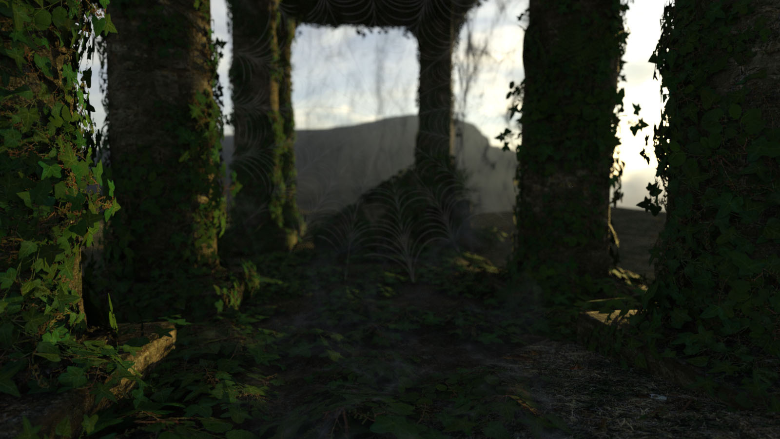 Photo Props: Cobweb Effect Maker by N/A