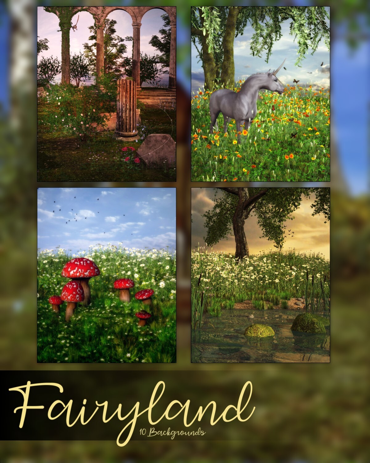 Fairyland by N/A