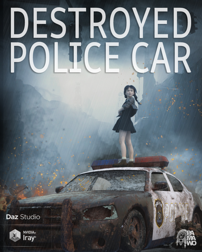 Destroyed Police Car DS by N/A