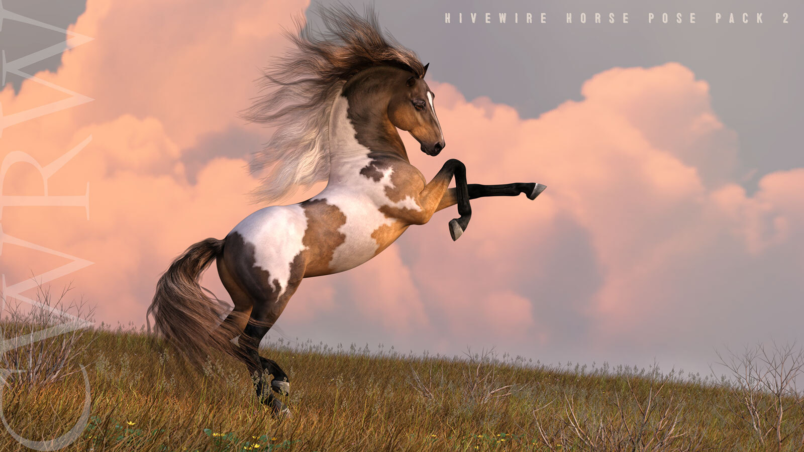 CWRW HW Horse Pose Pack 2 by N/A