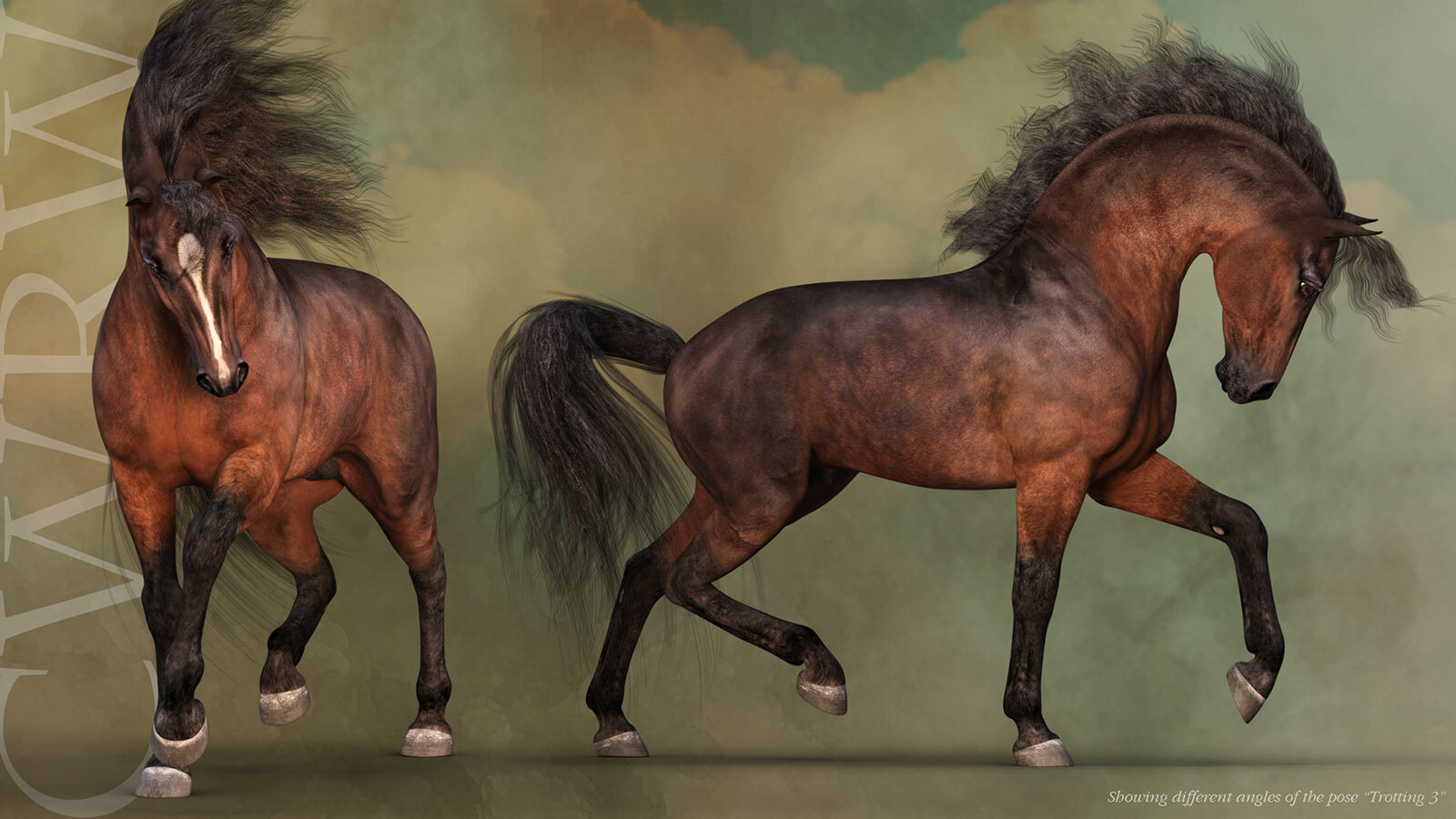 CWRW HW Horse Pose Pack 2 by N/A