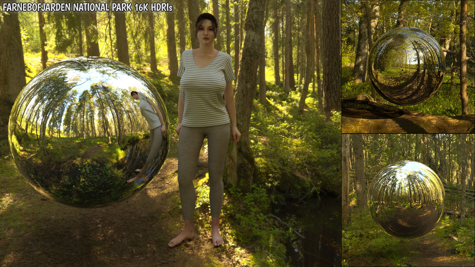 Farnebofjarden National Park 16K HDRIs by N/A