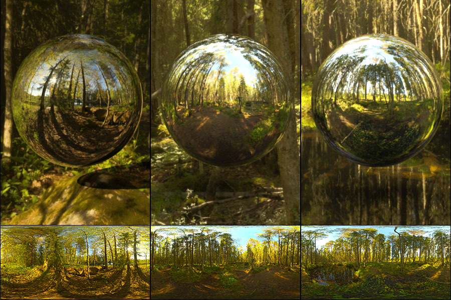 Farnebofjarden National Park 16K HDRIs by N/A