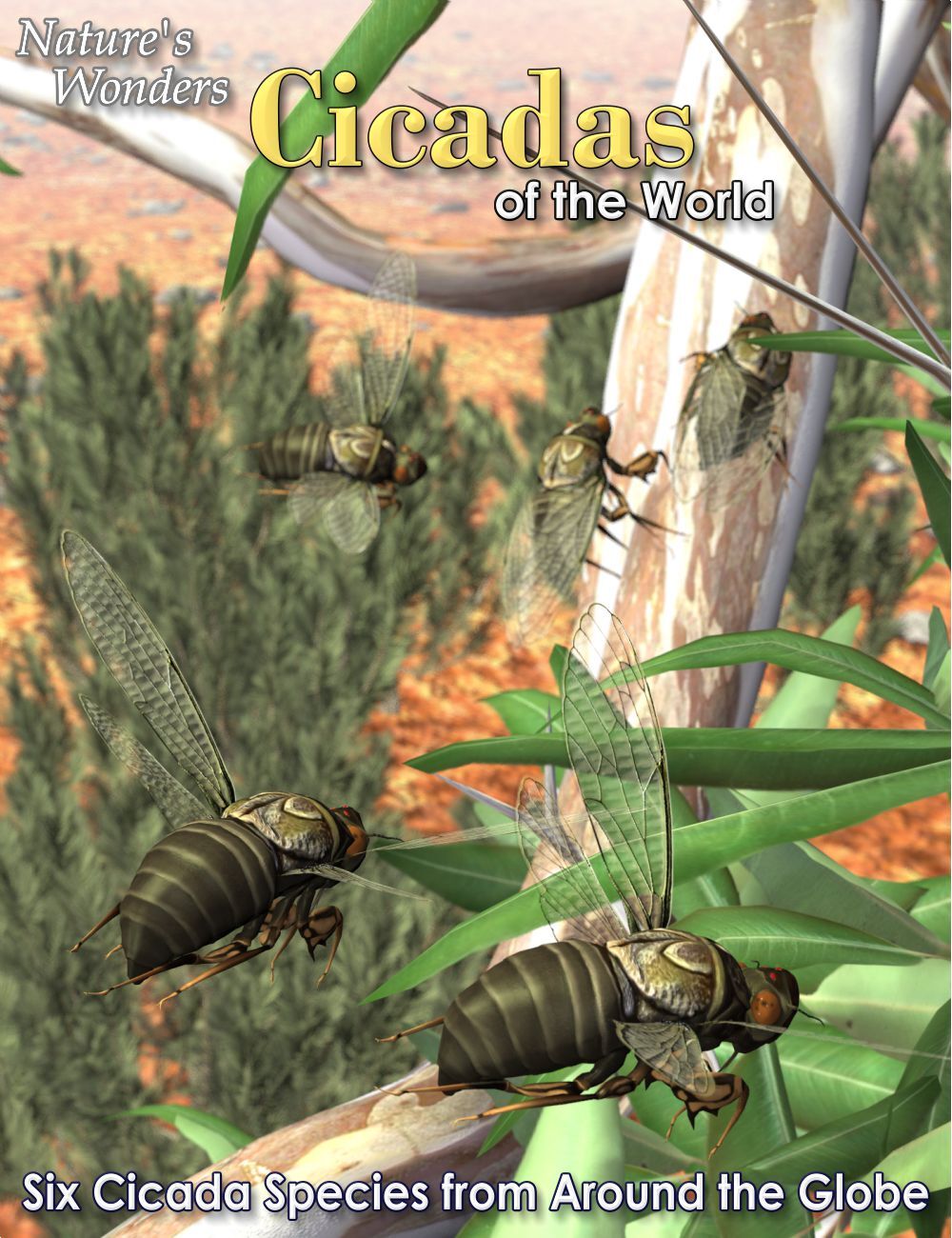 Nature's Wonders Cicadas of the World by N/A