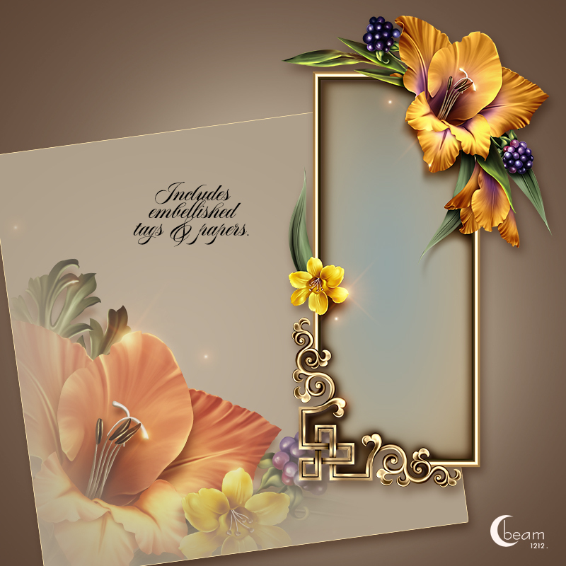 Moonbeam's Le Gladioli by N/A