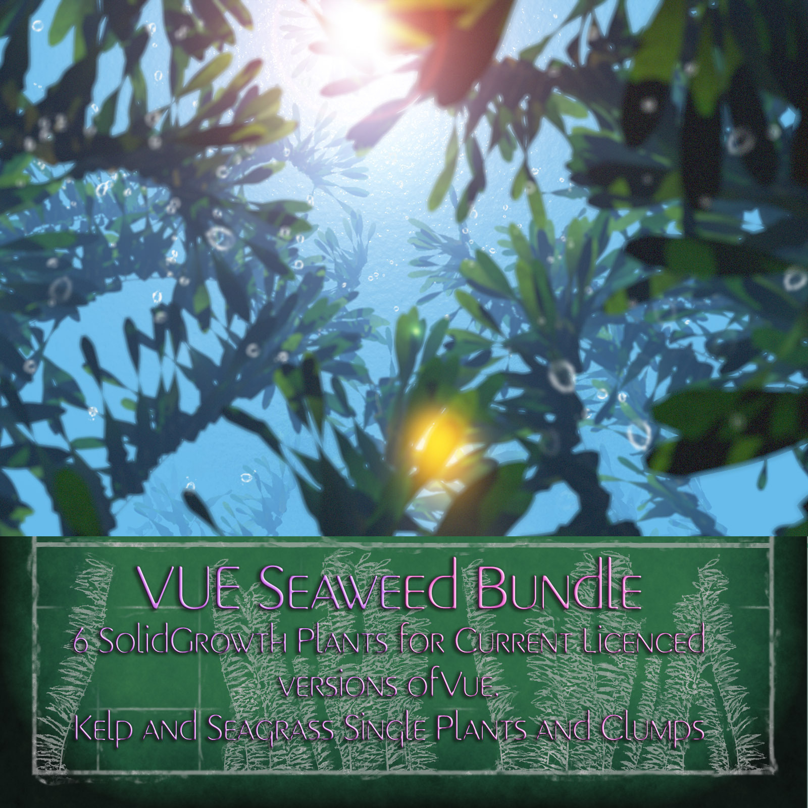 Vue  Seaweed Bundle by N/A