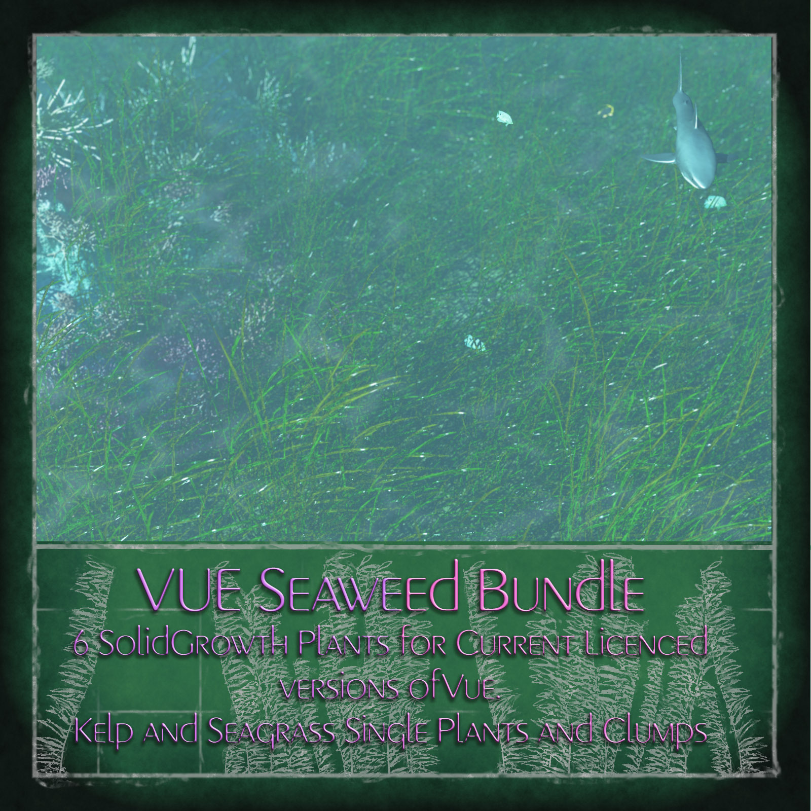 Vue  Seaweed Bundle by N/A