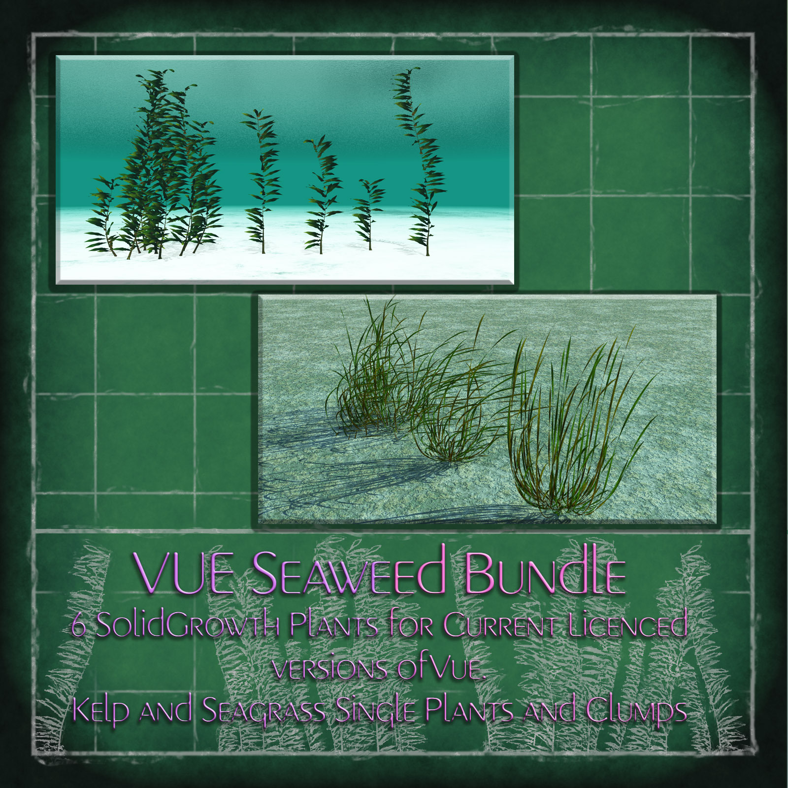Vue  Seaweed Bundle by N/A