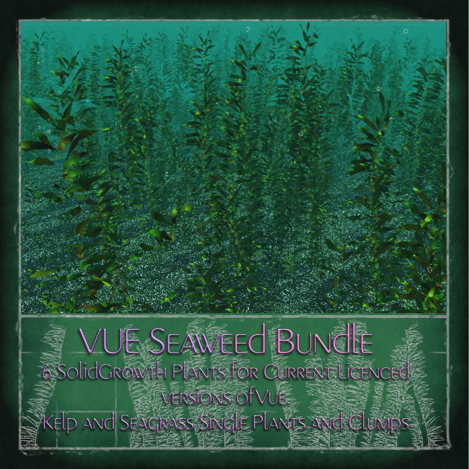 Vue  Seaweed Bundle by N/A