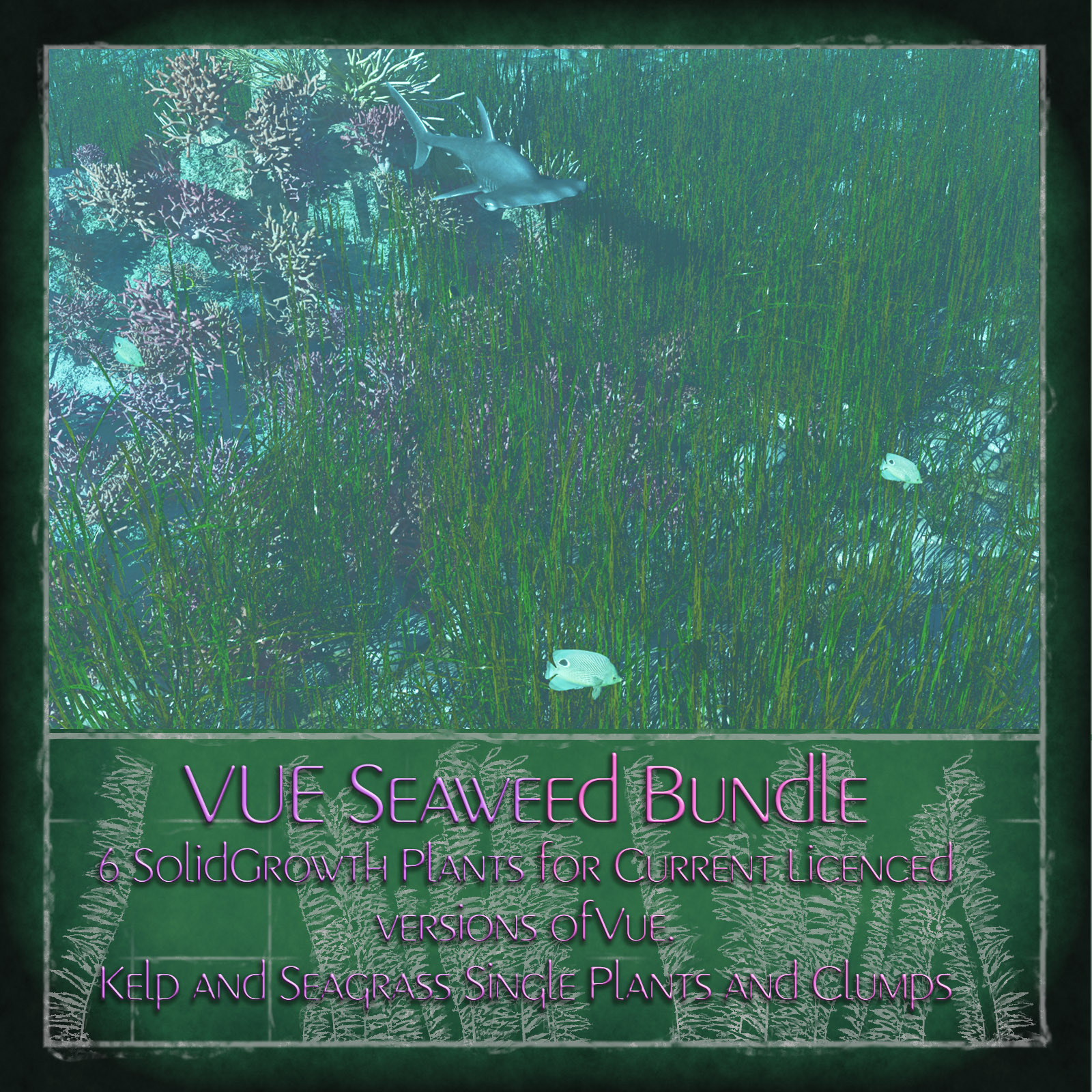 Vue  Seaweed Bundle by N/A