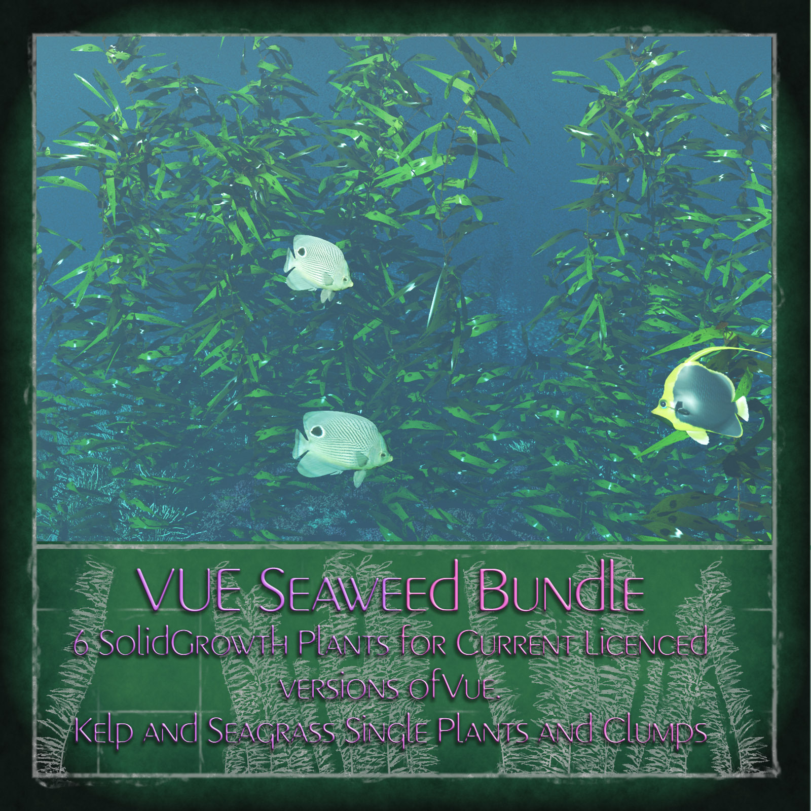 Vue  Seaweed Bundle by N/A