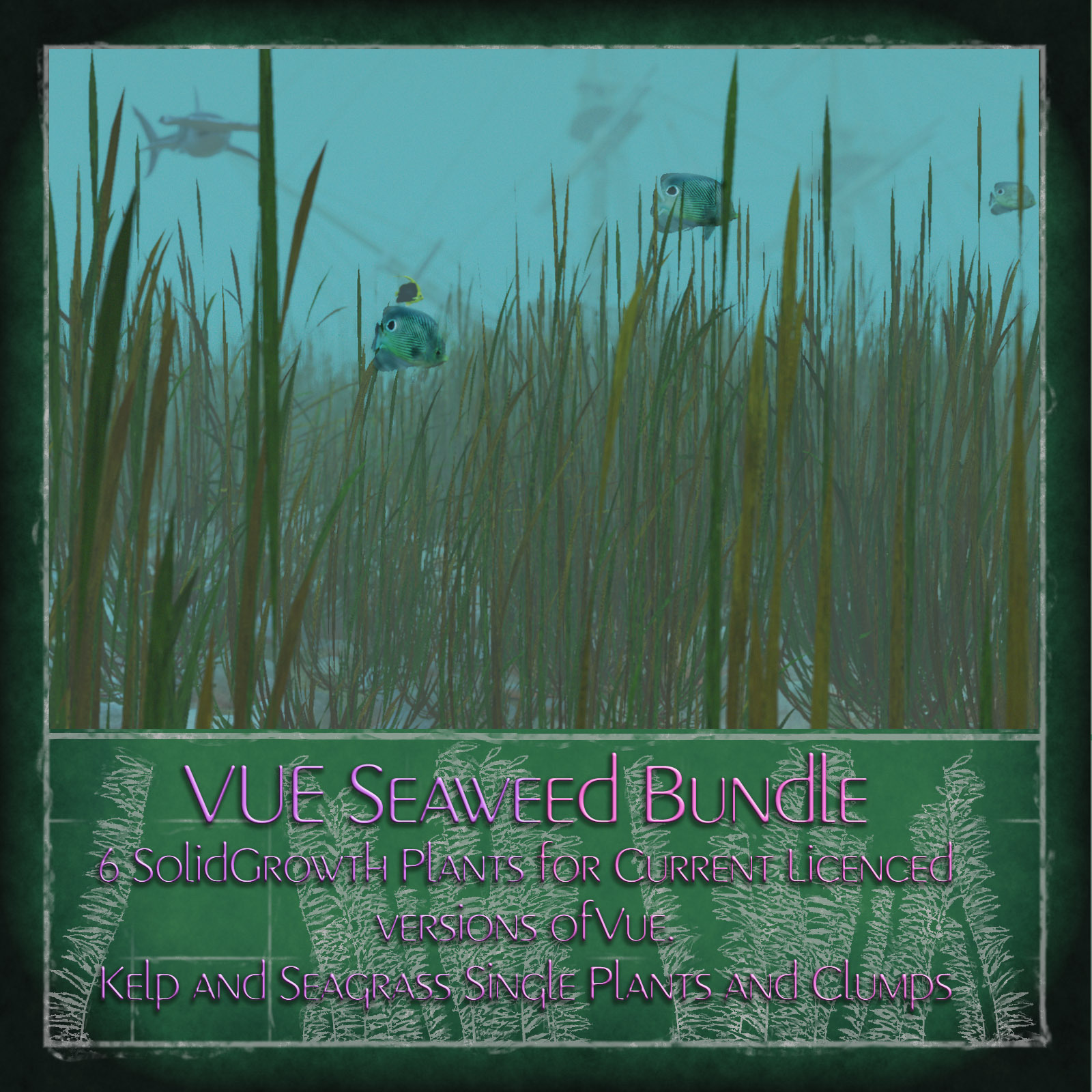 Vue  Seaweed Bundle by N/A