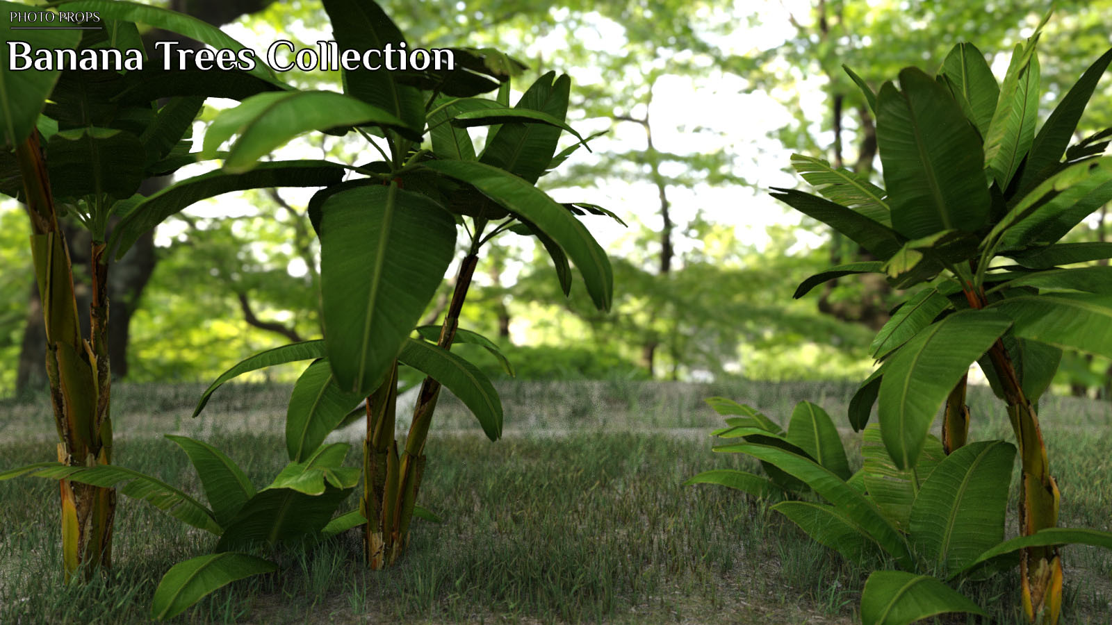 Photo Props: Banana Tree Collection by N/A