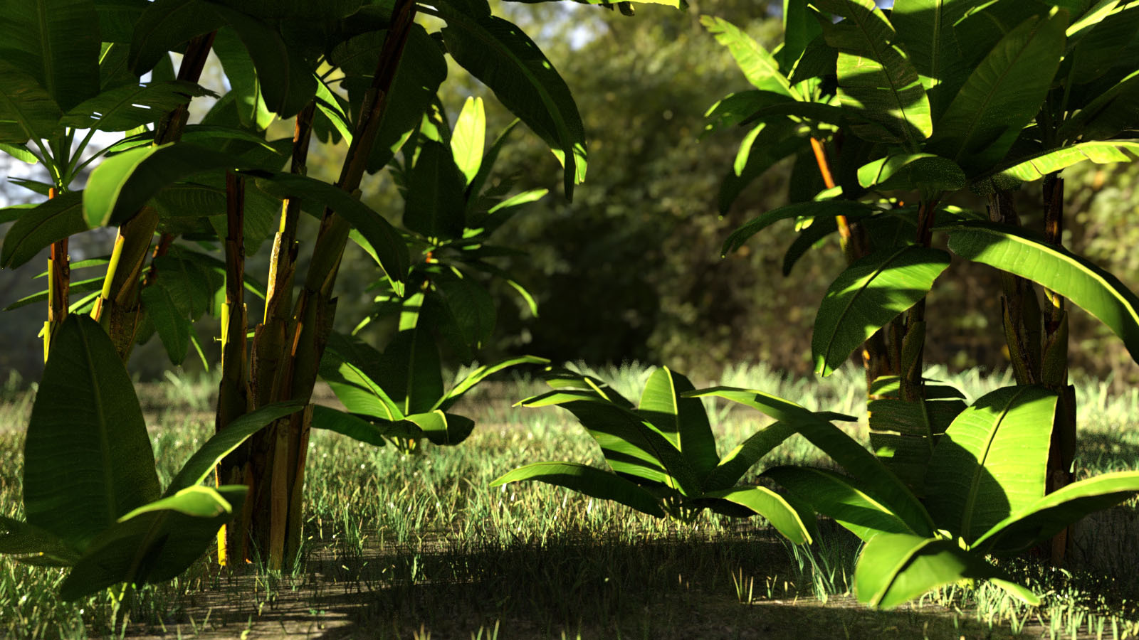 Photo Props: Banana Tree Collection by N/A