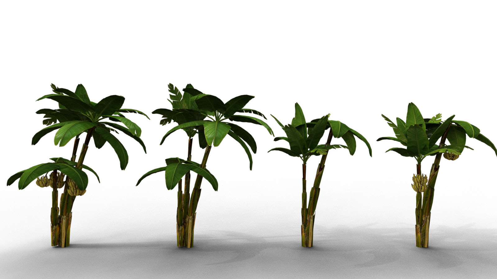 Photo Props: Banana Tree Collection by N/A