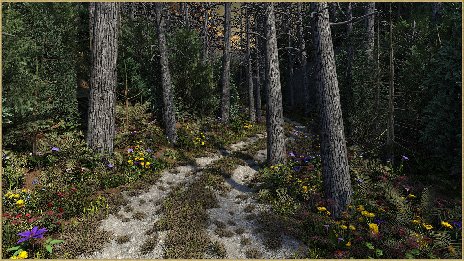 Two Track in the Woods for DS by N/A