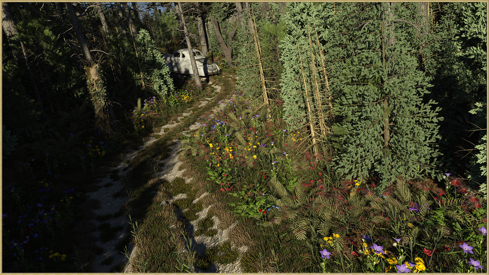Two Track in the Woods for DS by N/A