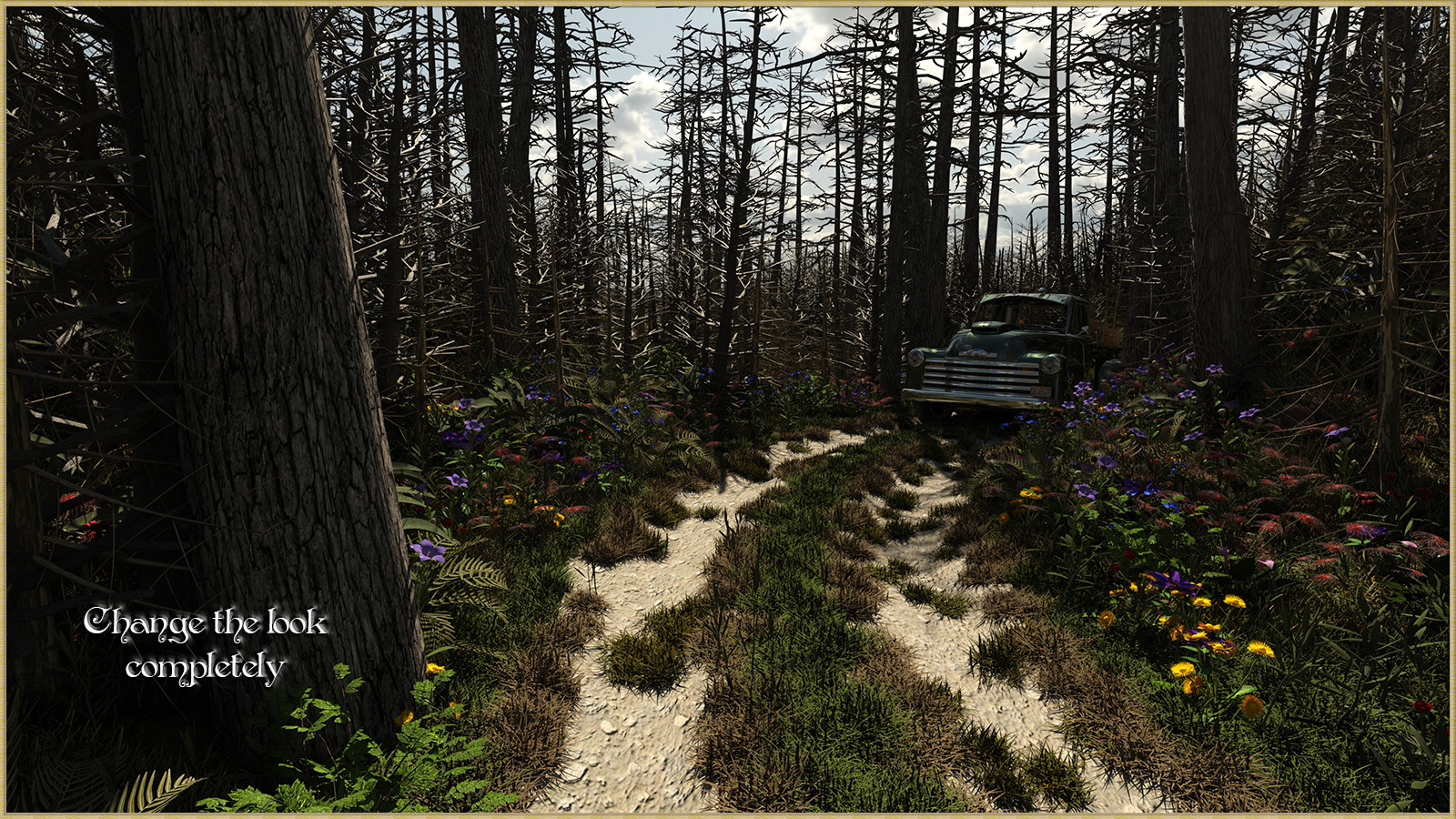 Two Track in the Woods for DS by N/A
