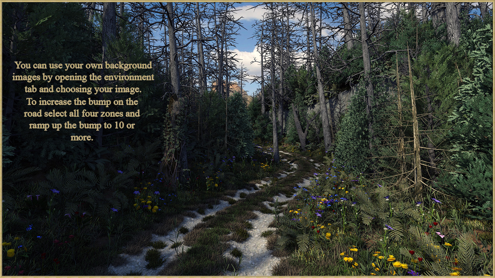 Two Track in the Woods for DS by N/A