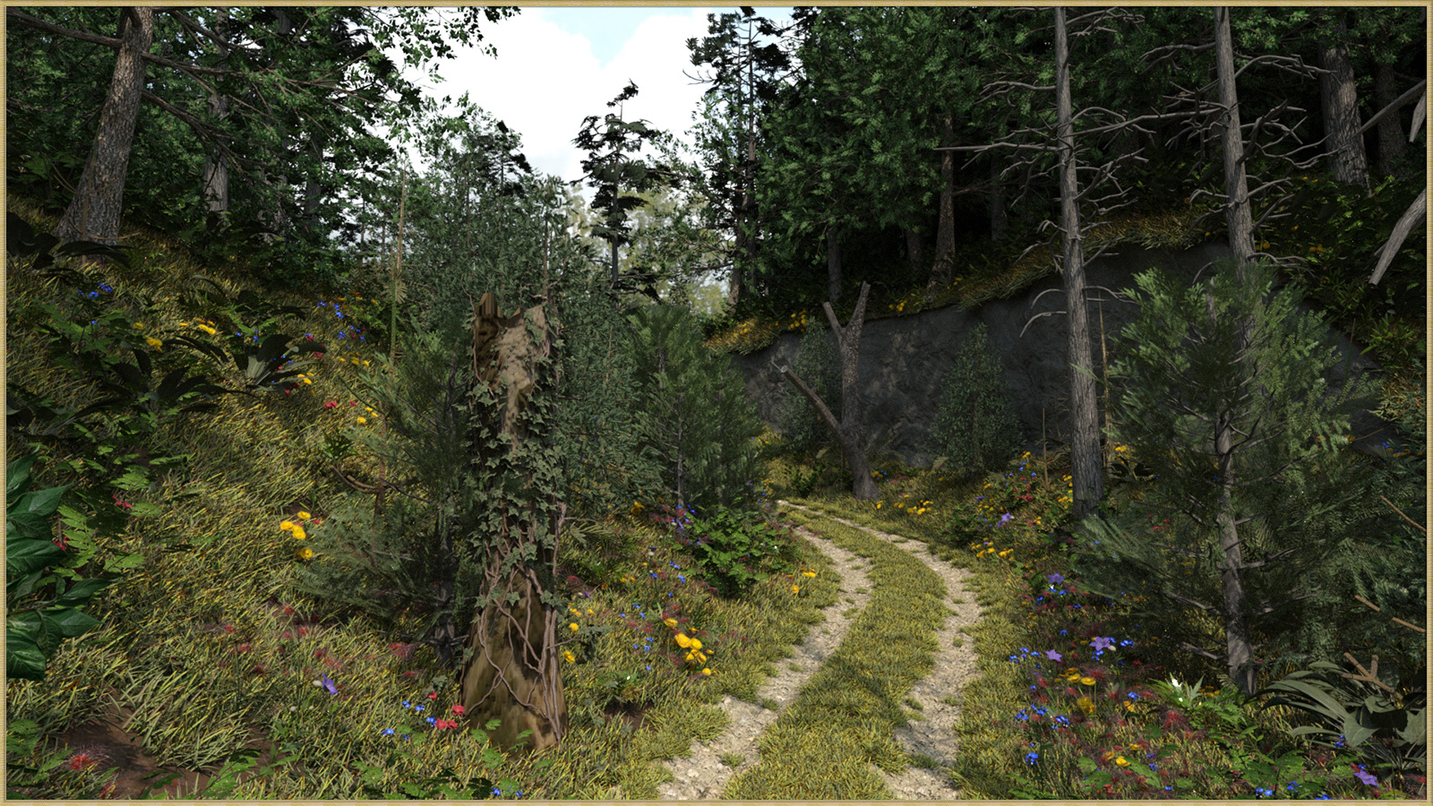 Two Track in the Woods for DS by N/A