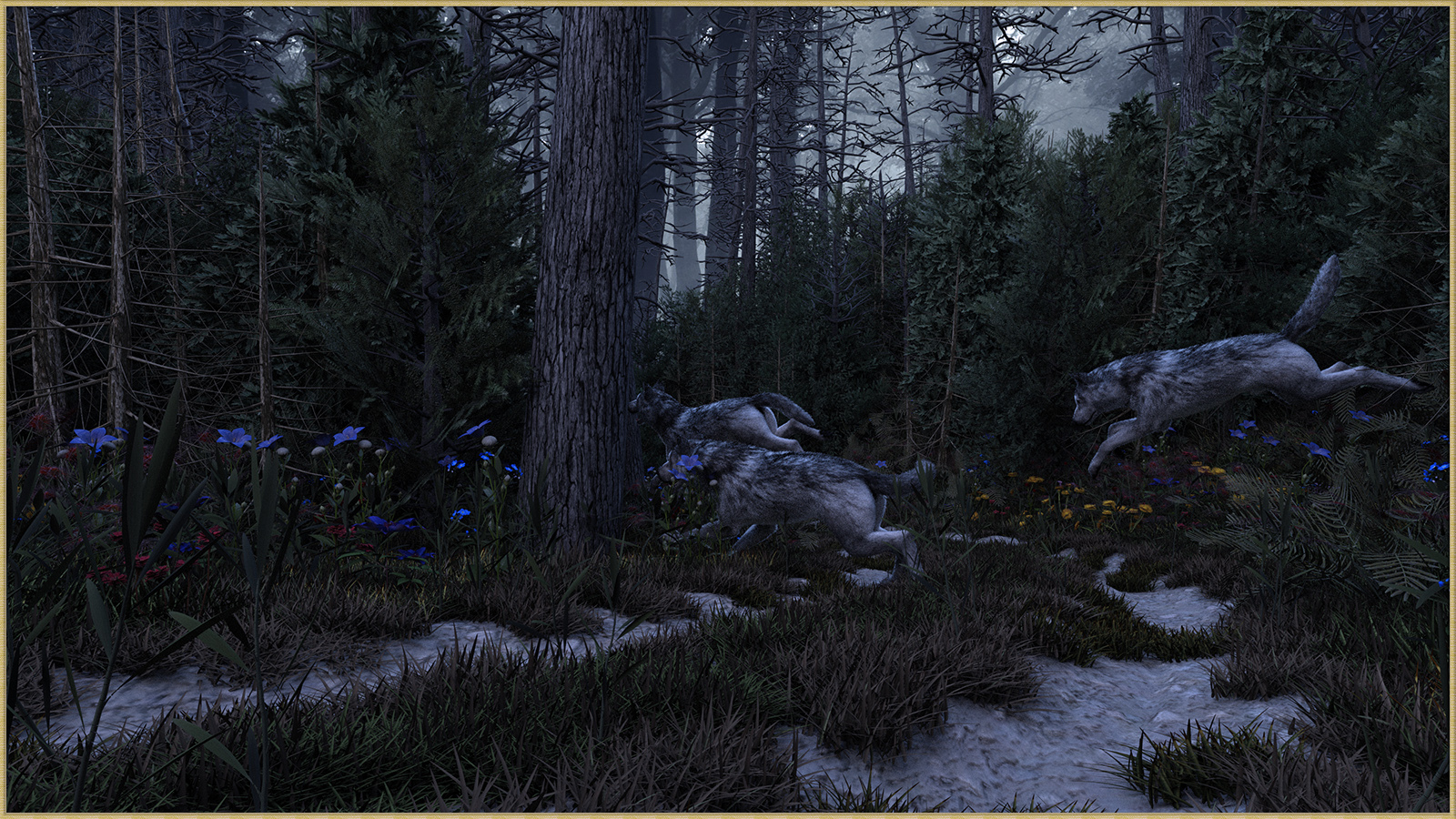 Two Track in the Woods for DS by N/A