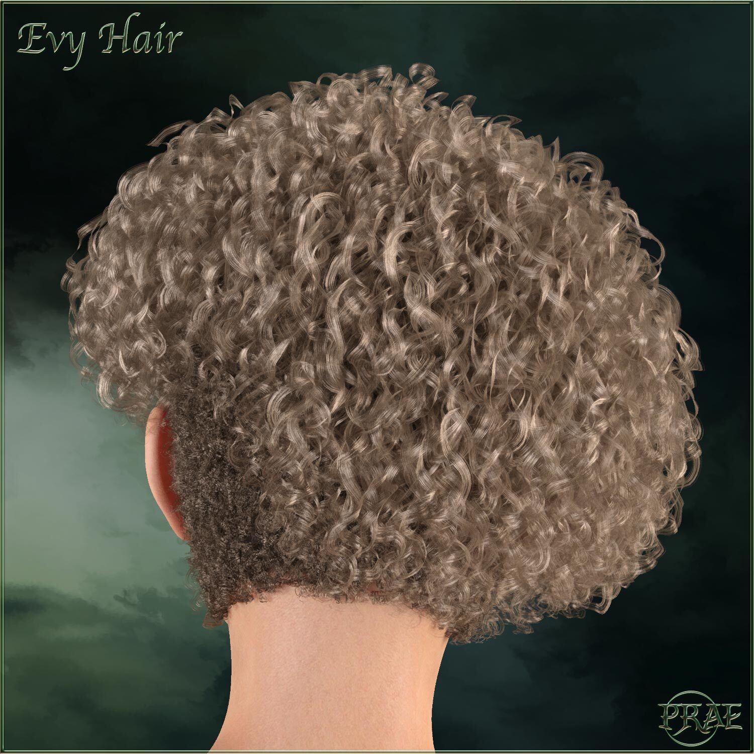 Prae-Evy Hair for G8 Daz by N/A