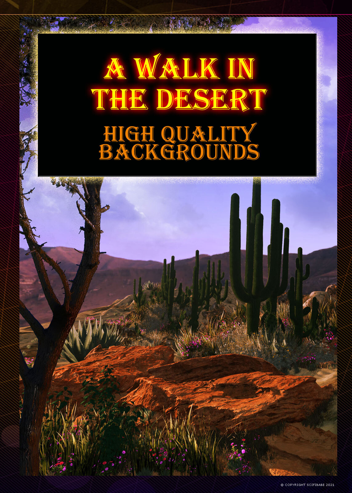 A Walk in the Desert by N/A