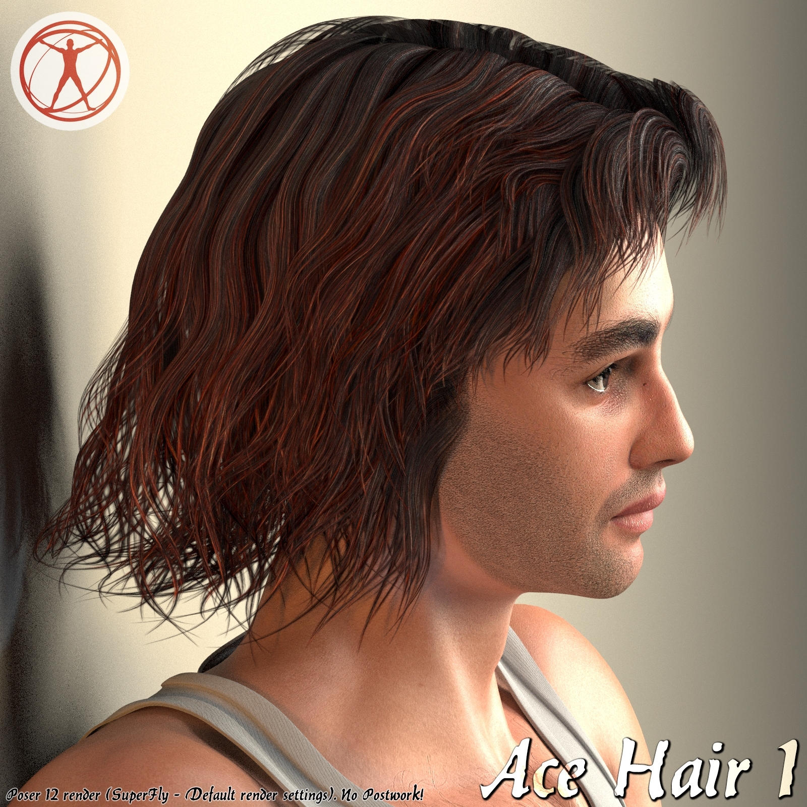 Ace Hair 1 by N/A
