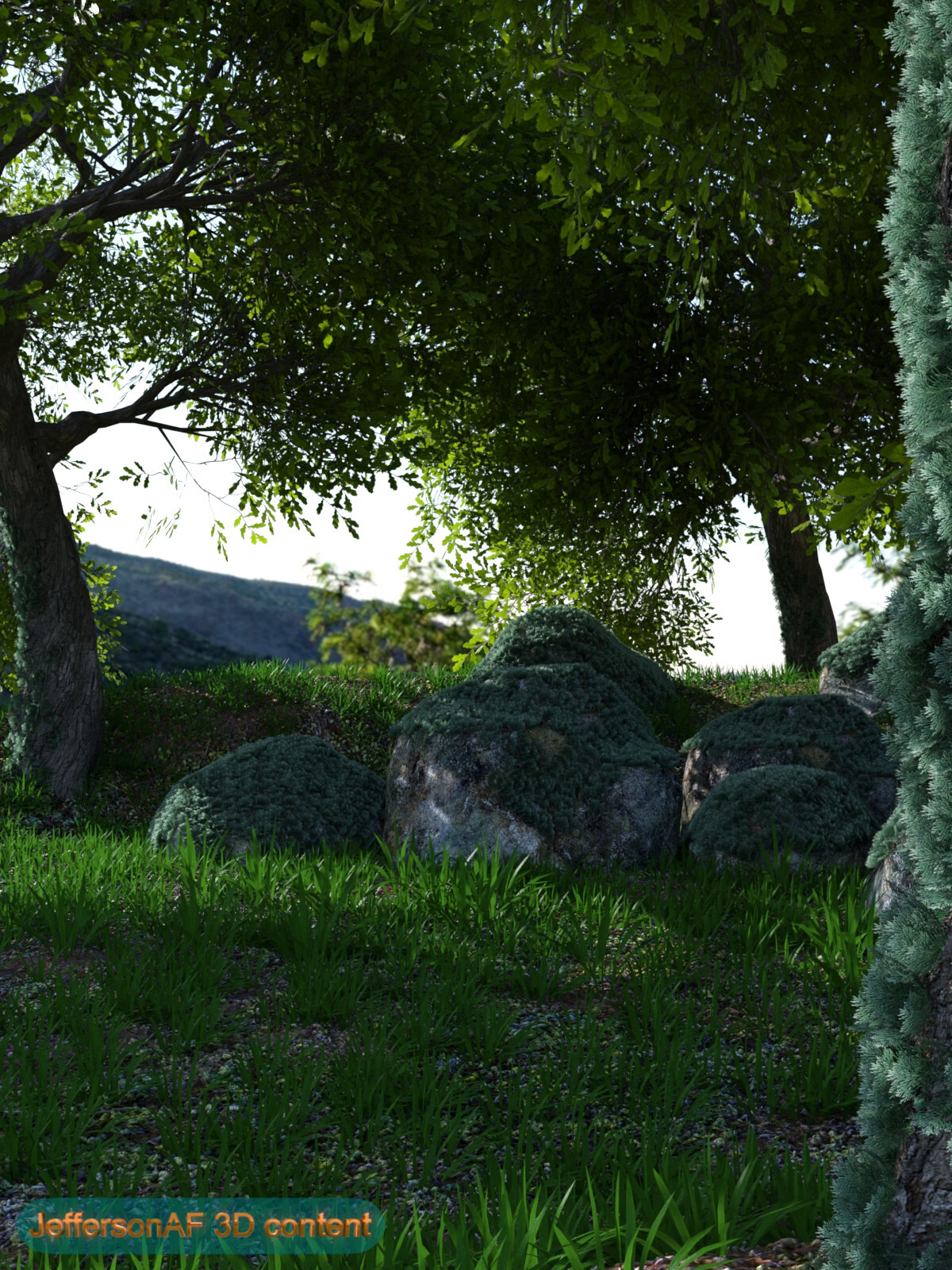 A Corner in the Forest by N/A