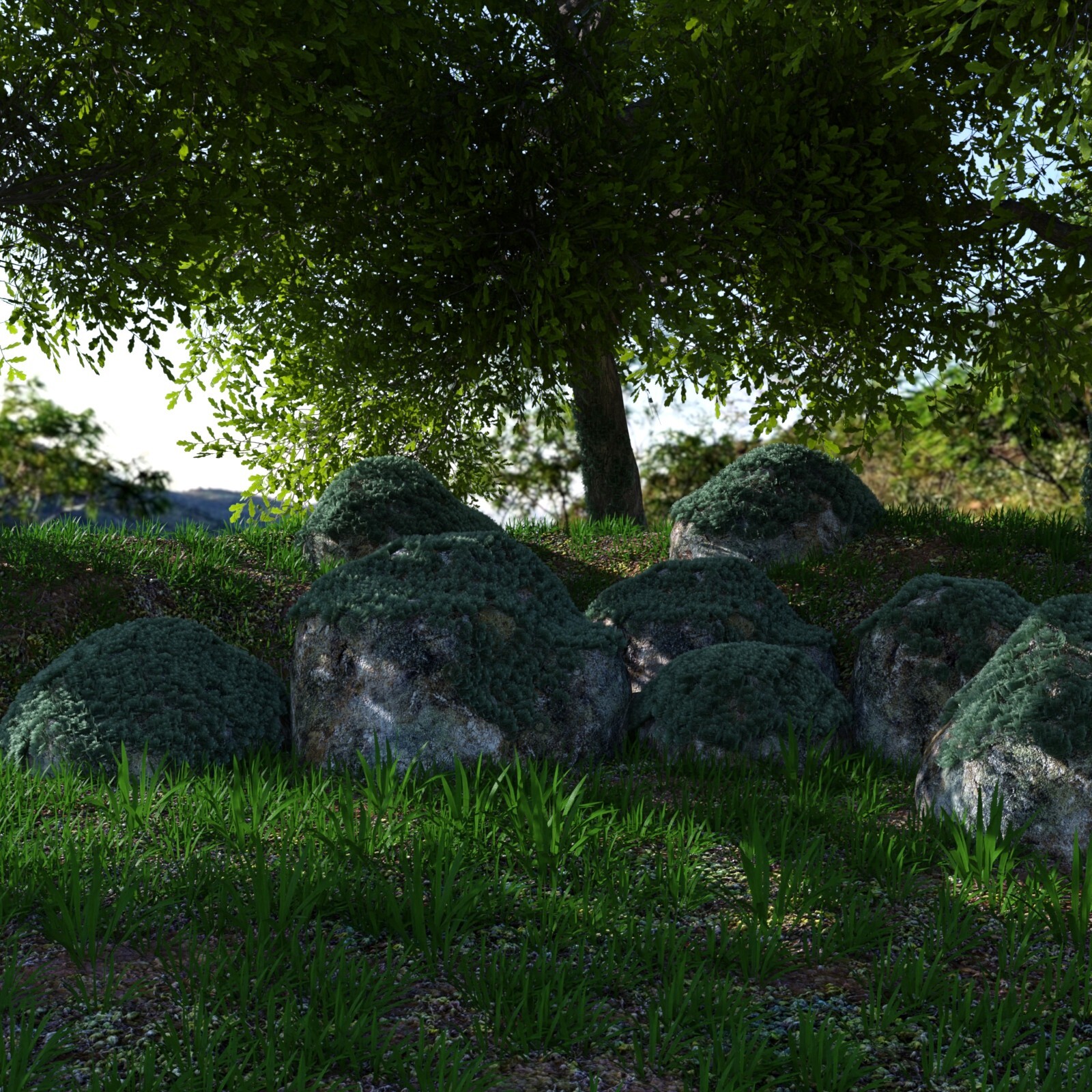 A Corner in the Forest by N/A