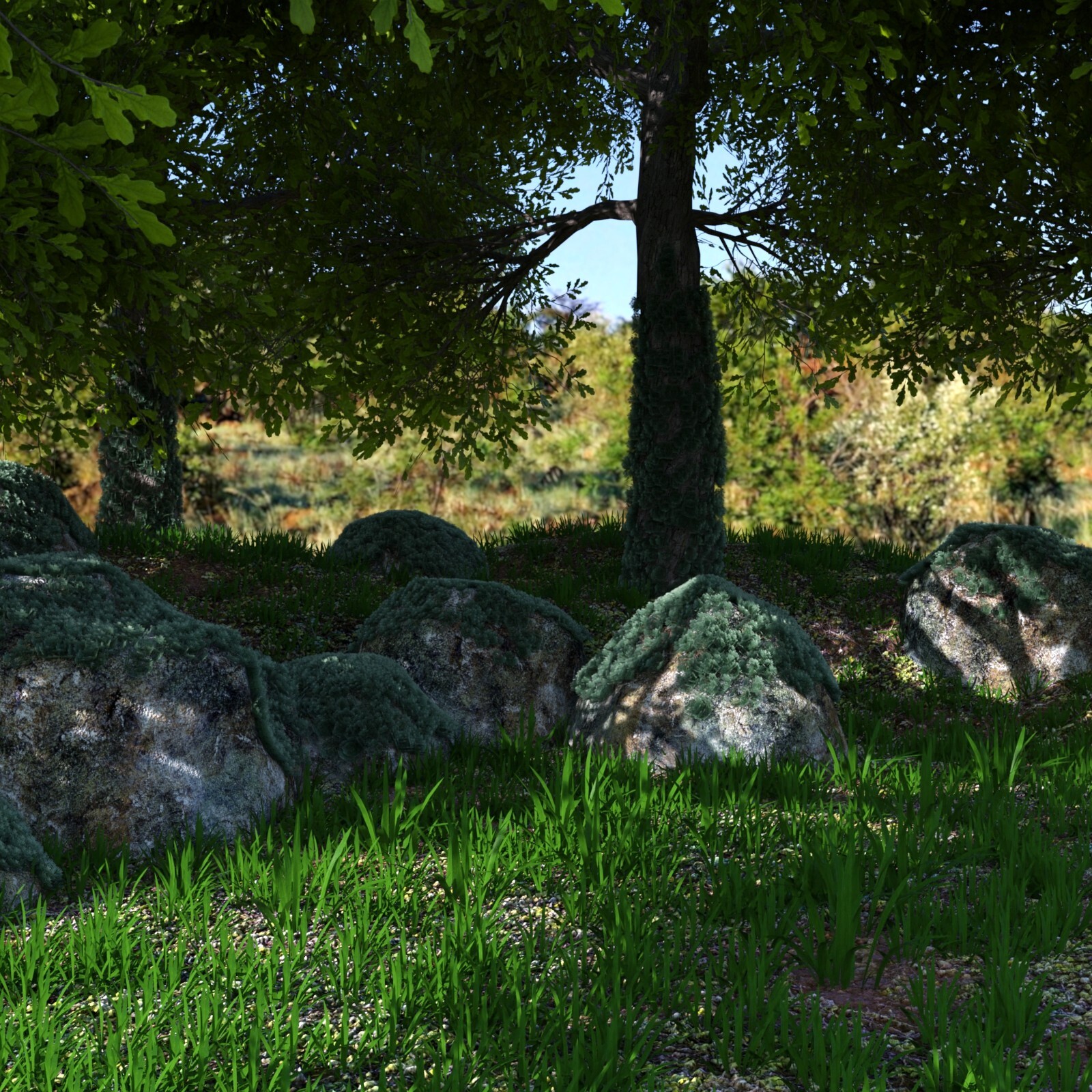 A Corner in the Forest by N/A