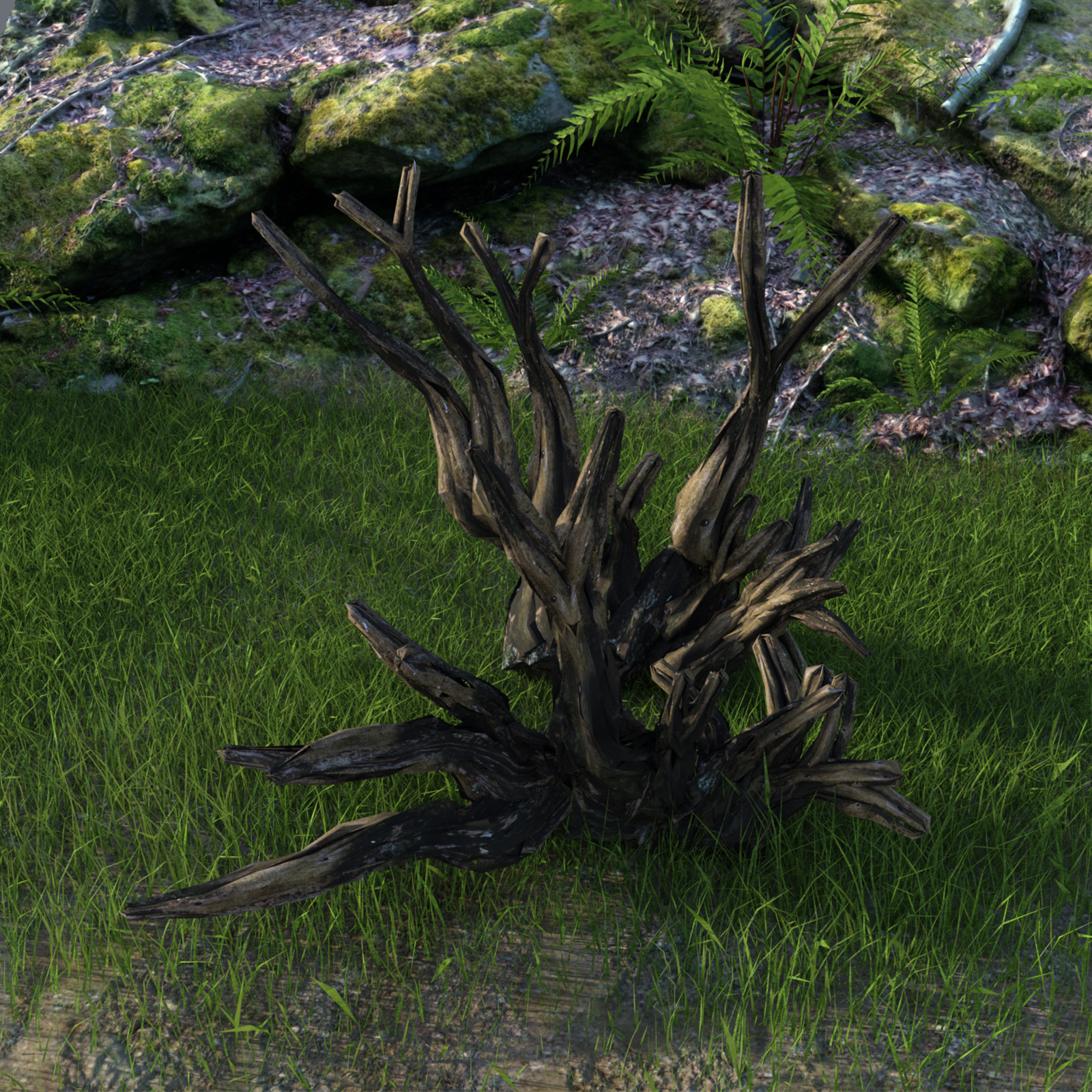 Old Tree Root for DAZ by N/A