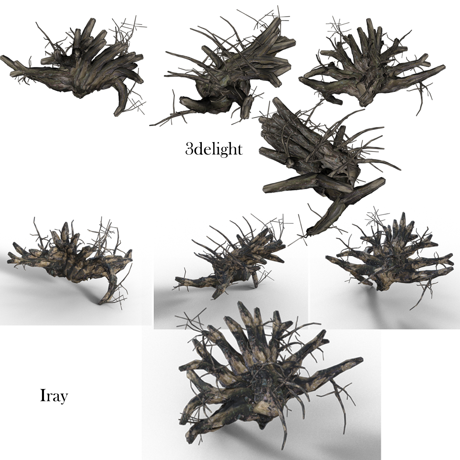 Old Tree Root for DAZ by N/A