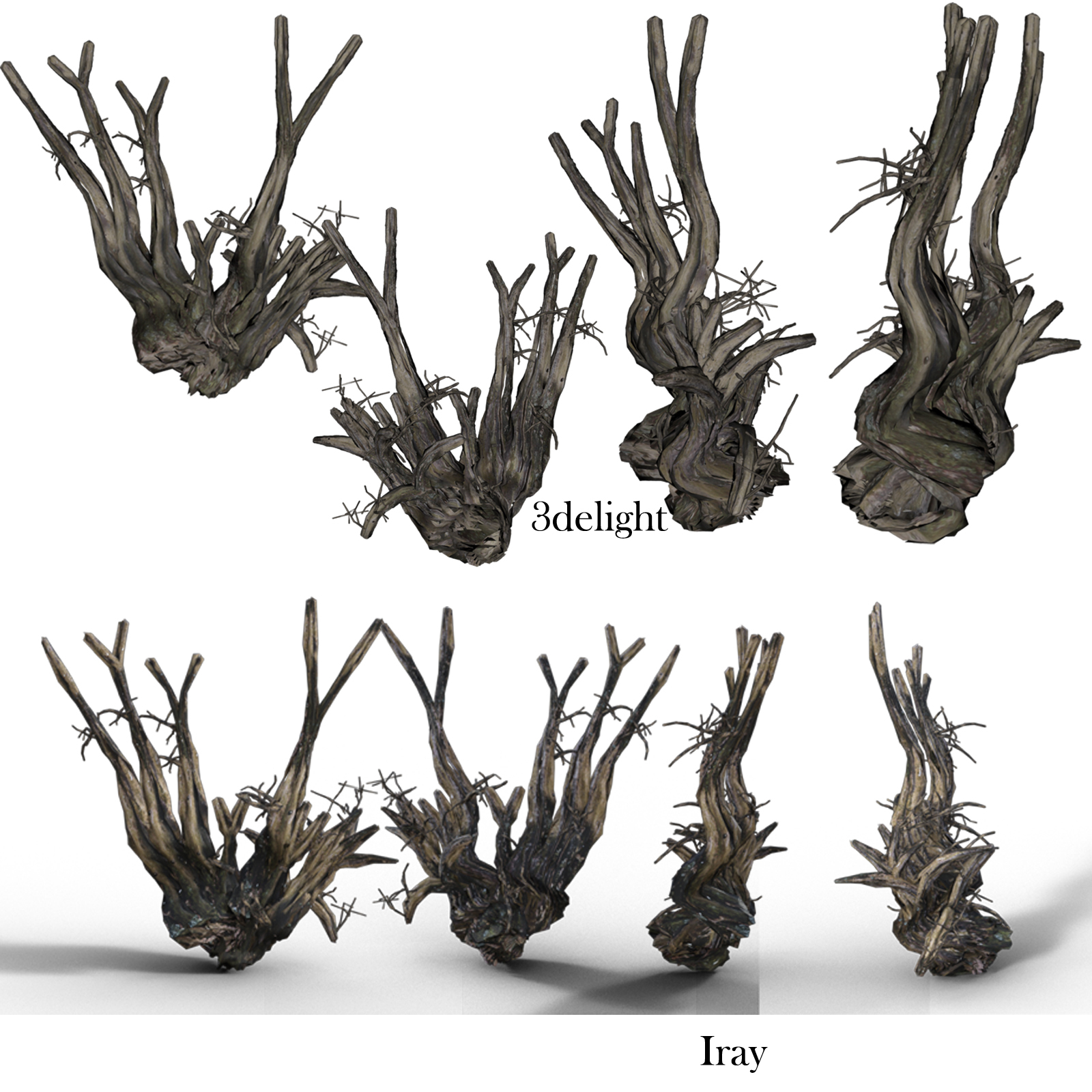 Old Tree Root for DAZ by N/A
