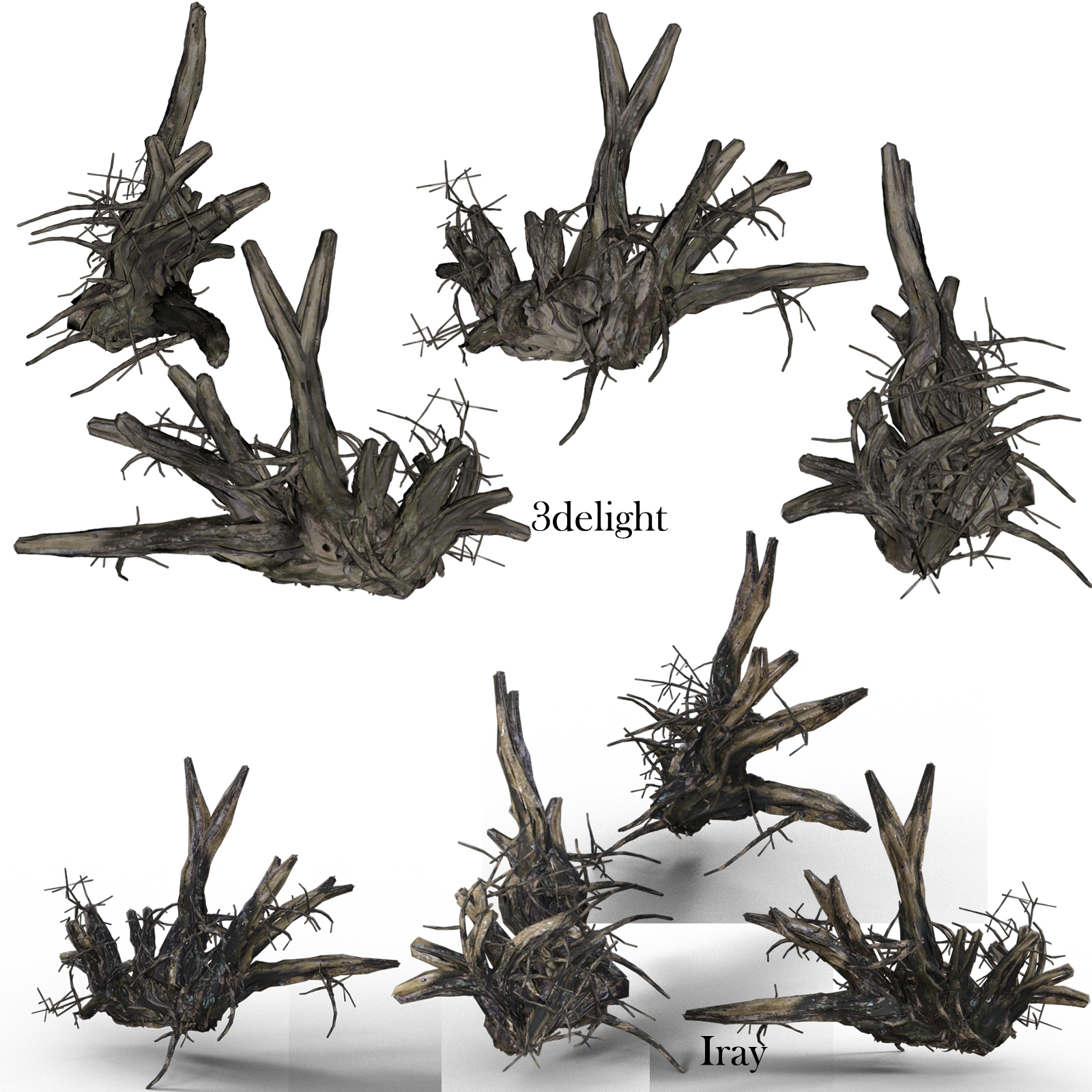 Old Tree Root for DAZ by N/A