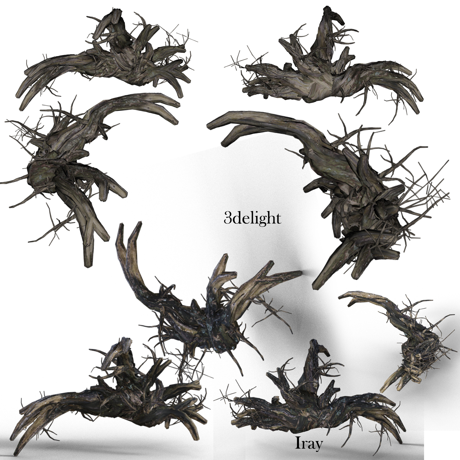 Old Tree Root for DAZ by N/A