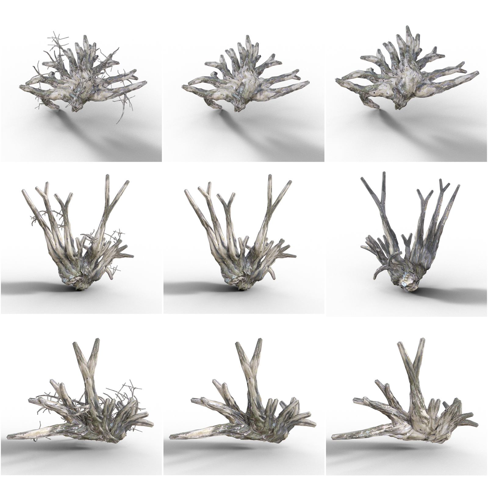 Old Tree Root for DAZ by N/A