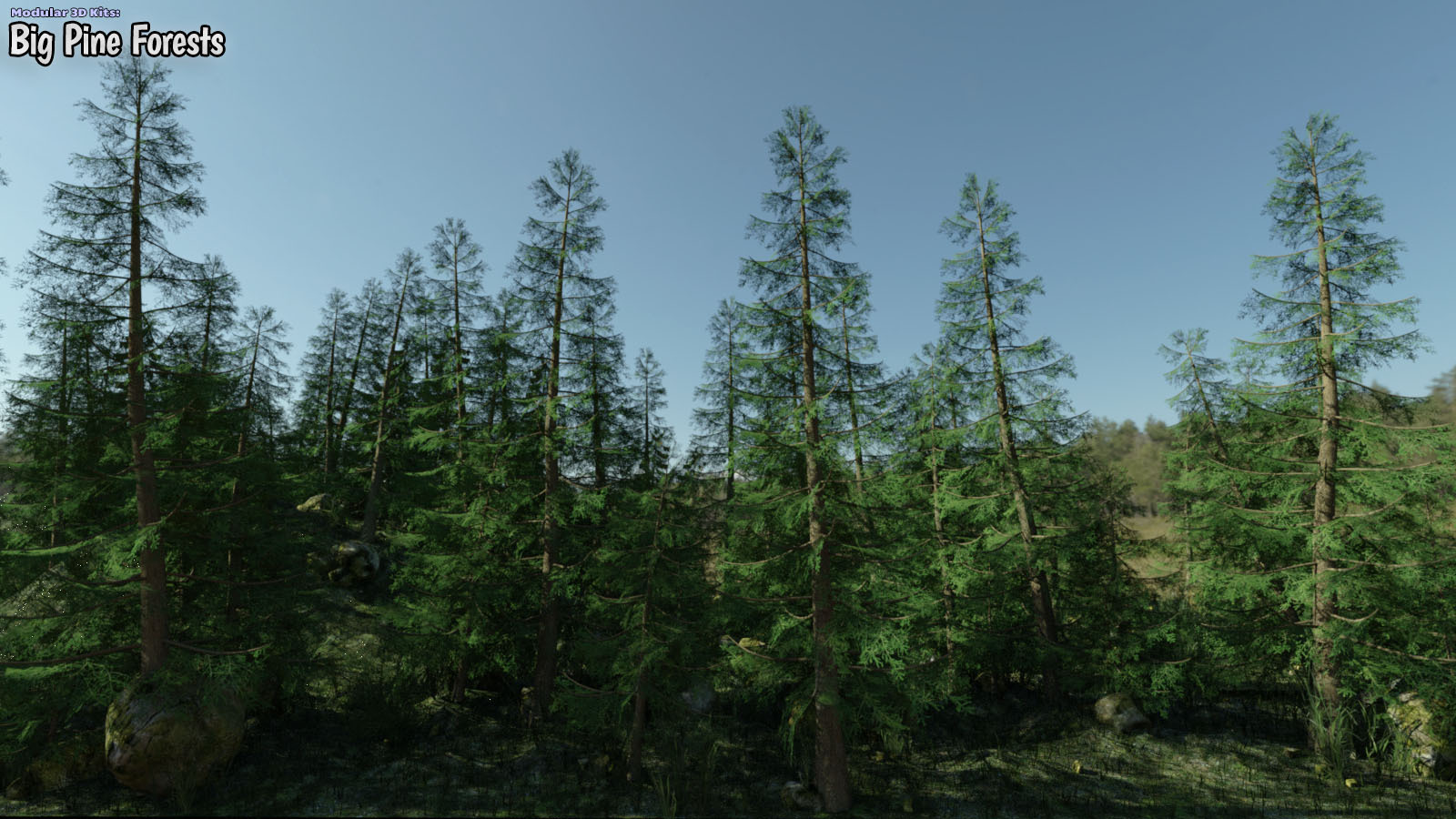 Modular 3D Kits: Big Pine Forests by N/A
