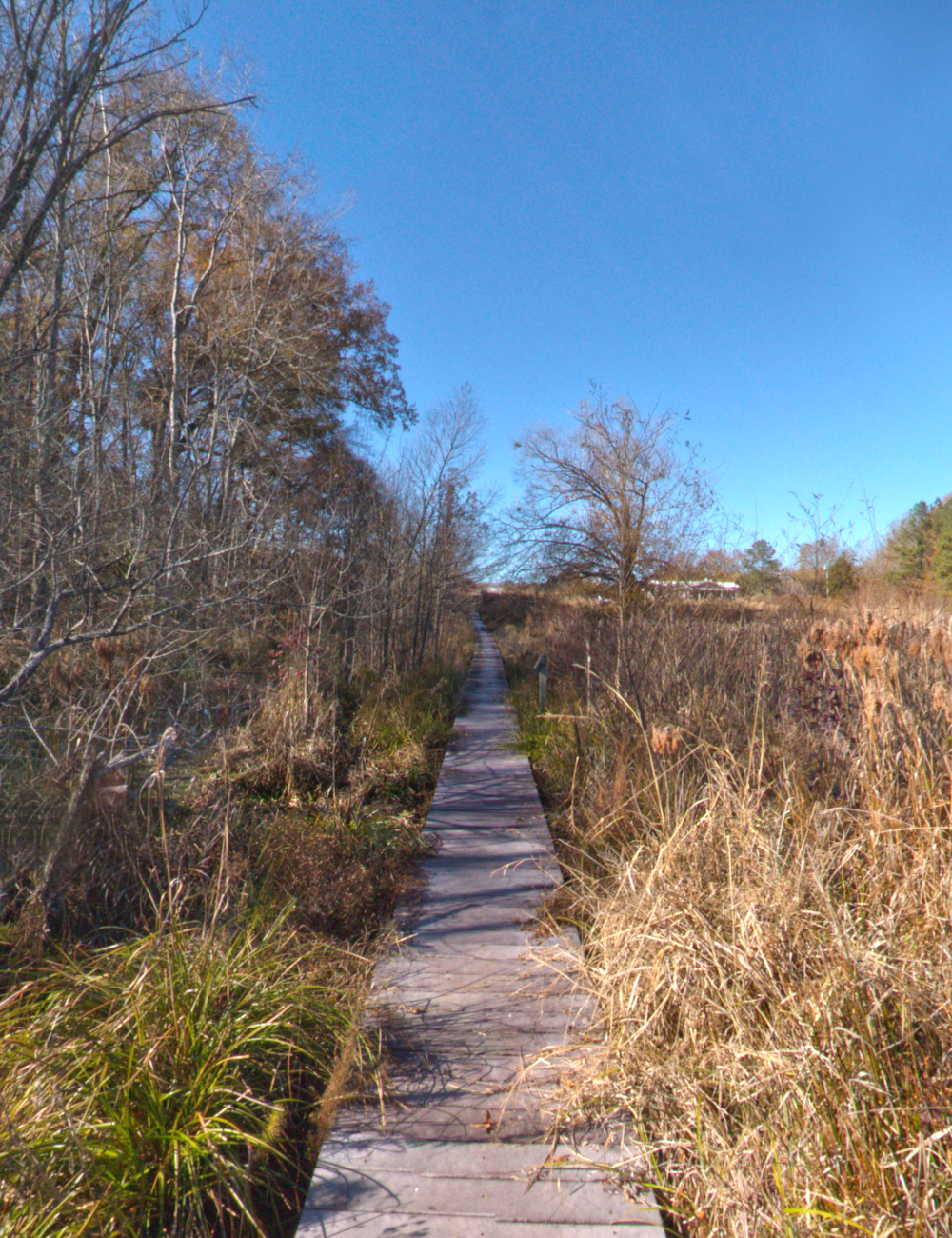 Edge Of The Marsh HDRI by N/A