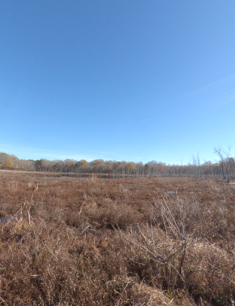 Edge Of The Marsh HDRI 02 by N/A